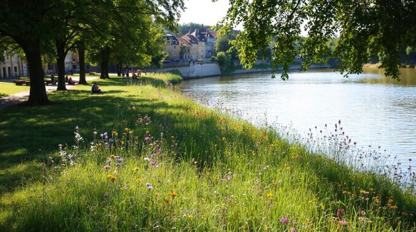 Top solutions pour combattre l'inconfort thermique à Nogent-sur-Oise